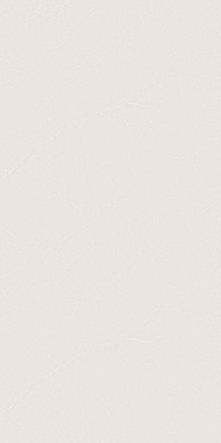 Formica Cora